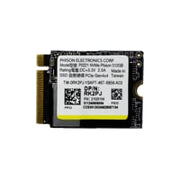  SSD Disk PHISON P0221 Distribütör  Phison P0221 512 GB 3000/1000MB/S M.2 Nvme 22x30 SSD (KUTUSUZ)