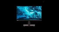 Lenovo Thinkvision T23I-20 IPS LED Flat Panel Monitör 23