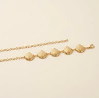 Gold Denizkabuğu Zincir Kemer