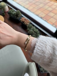 Özel Seri Marka Model Yılan Kelepçe