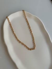 Özel Seri Yuvarlak Zincir Rose Gold Kolye