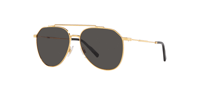 DOLCE&GABBANA_0DG2296 02/8758_Elegance