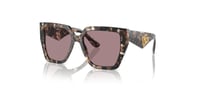 DOLCE&GABBANA_0DG4438 34387N55_Elegance