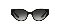 GÜNEŞ GÖZLÜĞÜ DOLCE&GABBANA DG6146 501/8G54