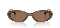 RAYBAN-RB4441D 67797353-Elegance