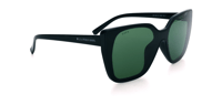 GÜNEŞ GÖZLÜĞÜ U.S. Polo Assn USS 0362 C2