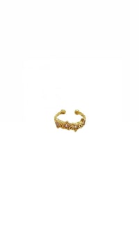 Sıralı Star Earcuff