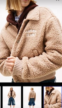 TOM TEDDY MONT