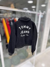 TOM TEDDY MONT