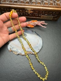 Damla Kehribar Yetişkin Kolye
