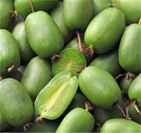 Actinidia arguta Vitikiwi Kiwi Self-fertile mini kivi fidanı