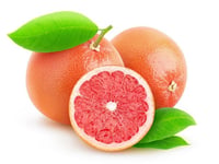 Citrus paradisi Kanlı Greyfurt fidanı