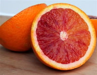 Citrus sinensis Kanlı Portakal fidanı