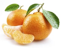 Citrus x clementine Klemantin Klementin Mandalina fidanı