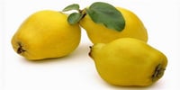 Cydonia vulgaris Limon Ayva fidanı