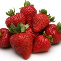 Fragaria x ananassa San Andreas yediveren çilek