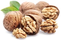 Juglans regia Chandler Çentlır Bodur Ceviz fidanı