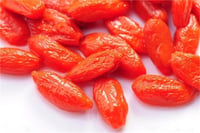 Lycium barbarum Ning-Qi No.1 Gojiberry Kurt üzümü fidanı