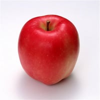 Malus domestica Amasya Elma fidanı