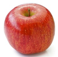 Malus domestica Fuji Elma fidanı