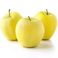 Malus domestica Golden goldchief Elma fidanı
