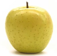 Malus domestica Golden spur Elma fidanı