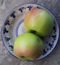 Malus domestica Hacı Sadık Elma fidanı