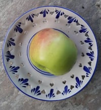 Malus domestica Hacı Sadık Elma fidanı
