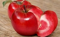 Malus domestica İçi Dışı Kırmızı Elma fidanı