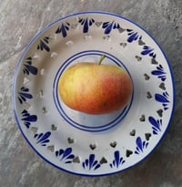 Malus domestica Mektep Elma fidanı