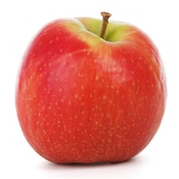 Malus domestica Pink Lady Elma fidanı