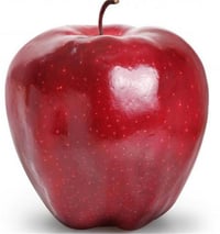Malus domestica Red Chief Elma fidanı