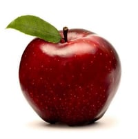 Malus domestica Scarlet Spur Elma fidanı