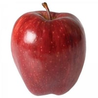 Malus domestica Starkrimson Elma fidanı