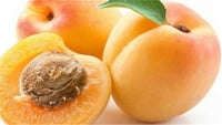 Prunus armeniaca Malatya kayısı fidanı