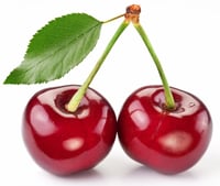 Prunus avium Royal King Kiraz fidanı Yarı Bodur Maxma 14