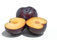 Prunus domestica Angelino Erik Anjelika Erik fidanı