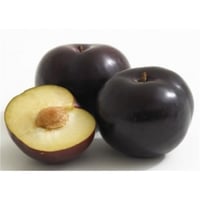 Prunus domestica Black Amber Erik fidanı