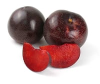 Prunus domestica Black Splendor Erik fidanı