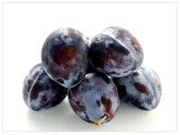 Prunus domestica Mürdüm Erik