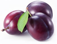 Prunus domestica President Erik fidan