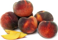 Prunus persica O Henry Şeftali fidanı