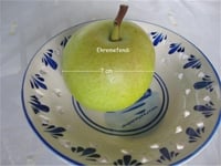 Pyrus communis Ekremefendi Armut fidanı
