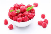 Rubus idaeus Tulameen Yediveren Ahududu fidanı