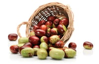 Zizyphus jujuba Sugarcane Hünnap fidanı