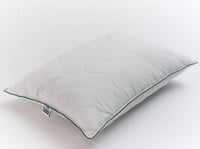 Aloe Vera Yastık