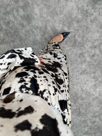 Jolie Ekru Kahve Desenli Bisiklet Yaka Kemerli Elbise GausELBİSEGU00903603