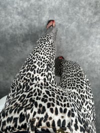 GU Leopar Desenli Straight Leg JeanGausDENİM PANTOLONGU007259