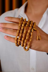 Zeytin Çekirdeği Sistemli Tasarım 2'li Set