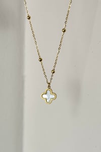 Cleef White Kolye